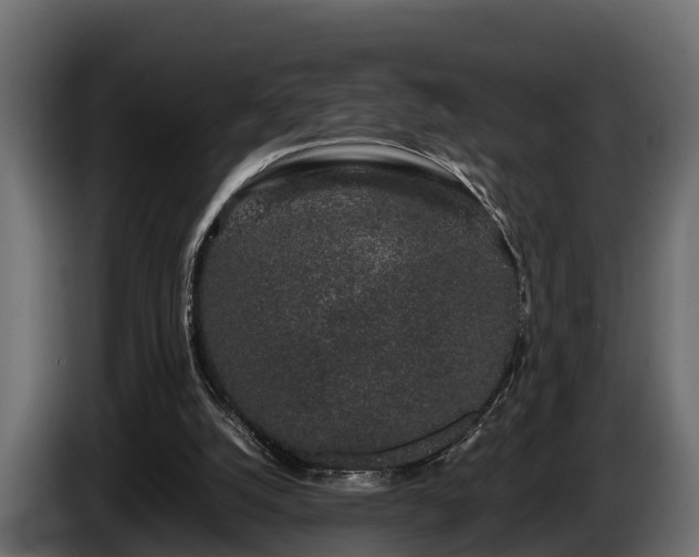 X0000085780056200703231255