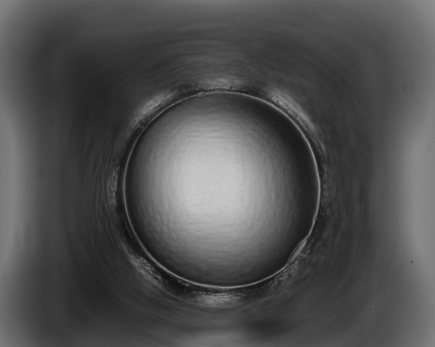 X0000085780058200703231255