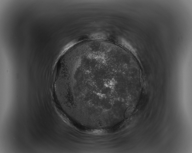 X0000085780059200703231255