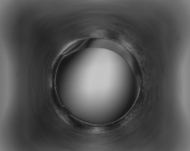 X0000085780060200703231255