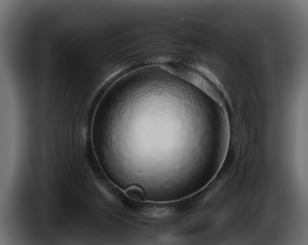 X0000085780063200703231255