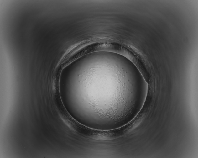 X0000085780064200703231255