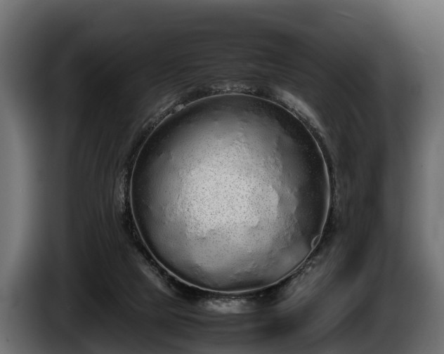 X0000085780065200703231255