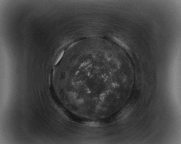 X0000085780067200703231255