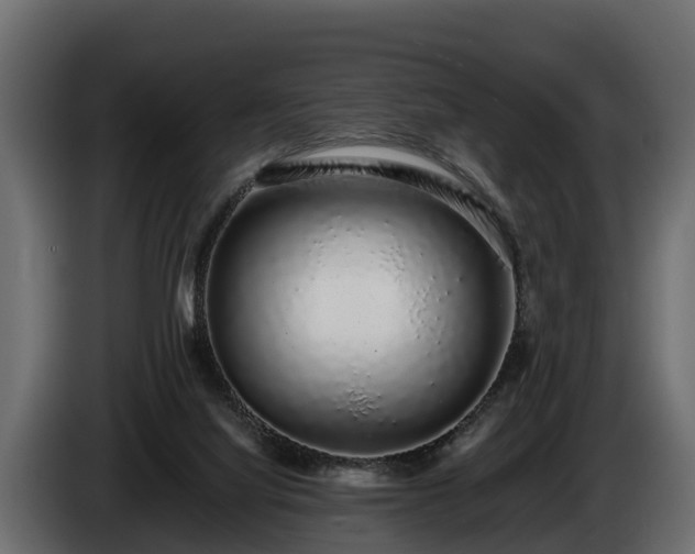 X0000085780068200703231255