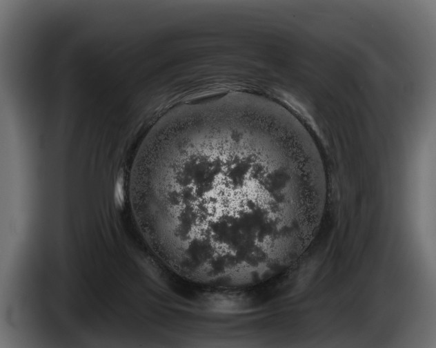 X0000085780069200703231255