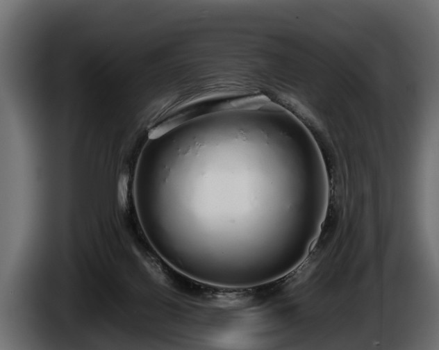 X0000085780070200703231255