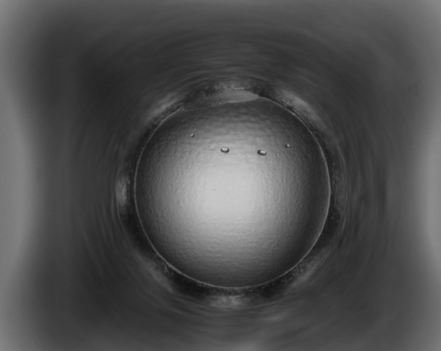 X0000085780071200703231255