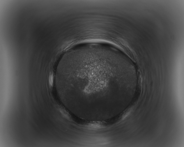 X0000085780076200703231255