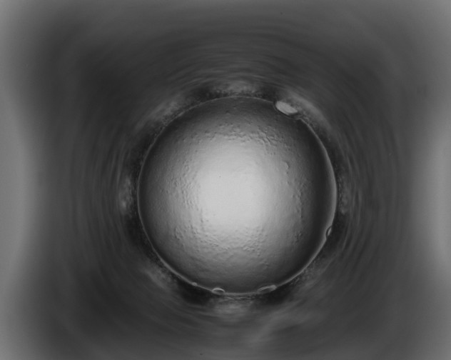 X0000085780077200703231255