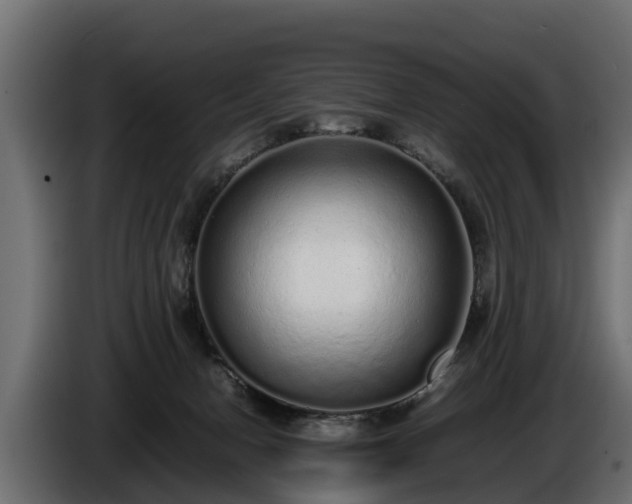 X0000085780078200703231255