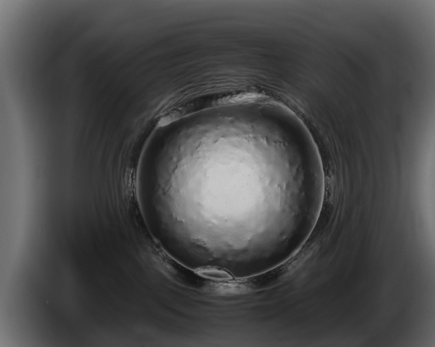 X0000085780093200703231255