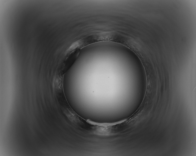 X0000085780096200703231255