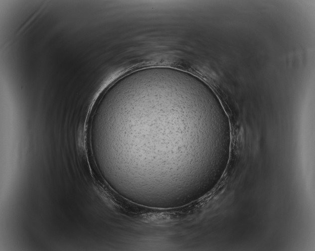 X0000085780100200703231255