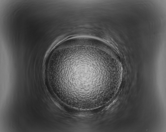 X0000085780101200703231254