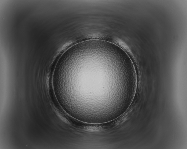 X0000085780106200703231254