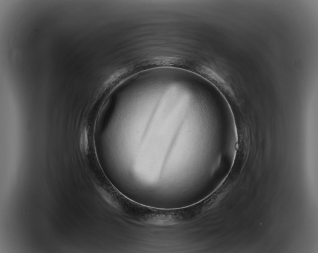 X0000085780110200703231254