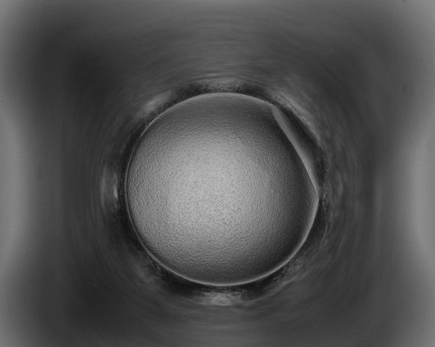 X0000085780115200703231254