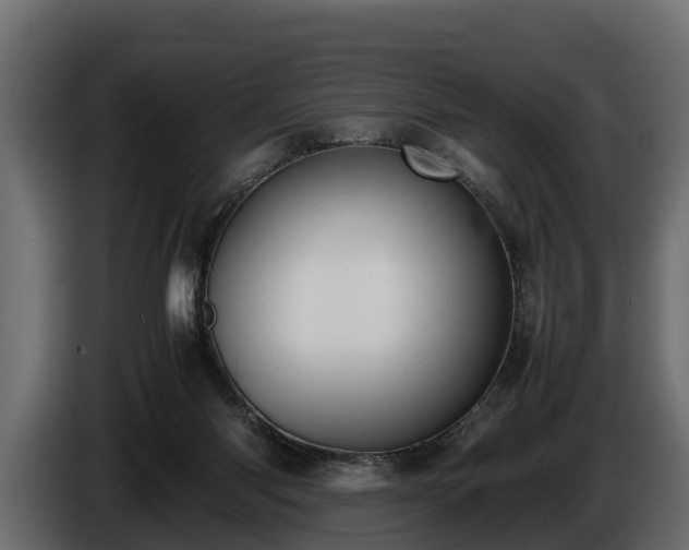 X0000085780118200703231254