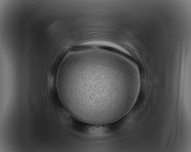 X0000085780123200703231254