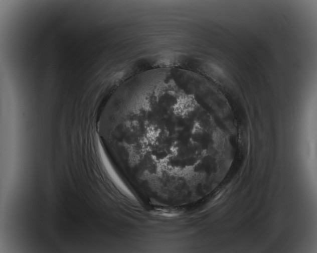 X0000085780127200703231254