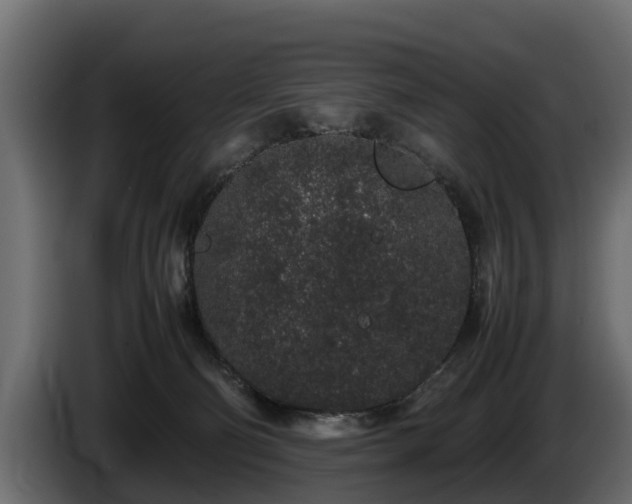 X0000085780130200703231254