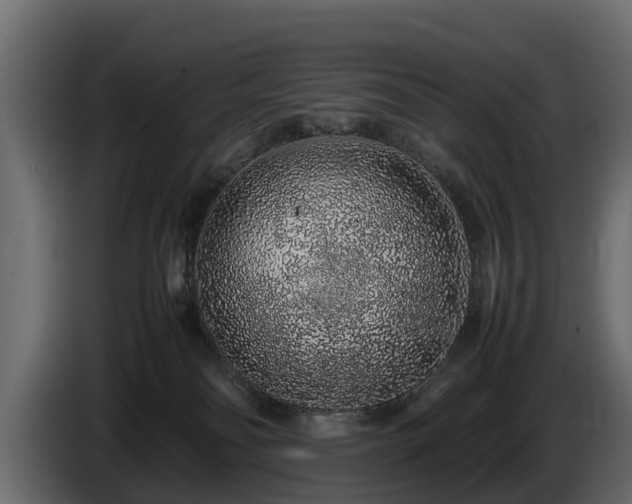 X0000085780134200703231254