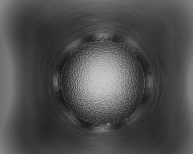 X0000085780138200703231254