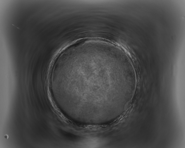 X0000085780145200703231253