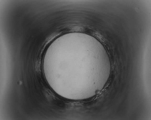 X0000085780146200703231253