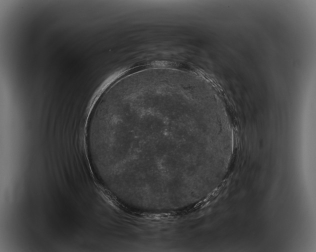 X0000085780147200703231253