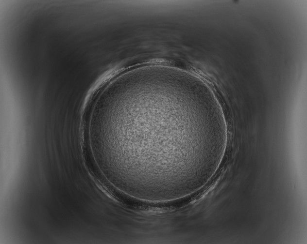 X0000085780149200703231253