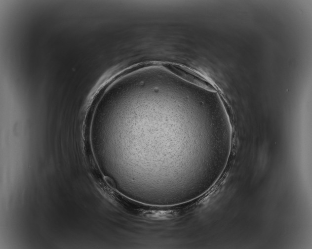 X0000085780151200703231253