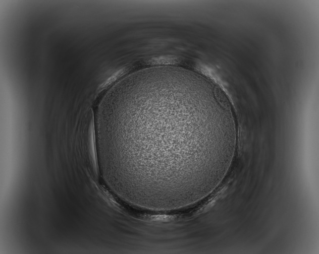 X0000085780153200703231253