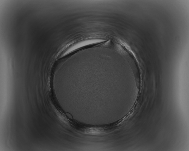 X0000085780154200703231253