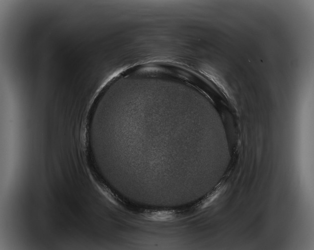 X0000085780156200703231253