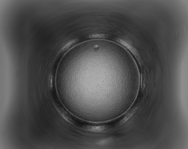 X0000085780157200703231253