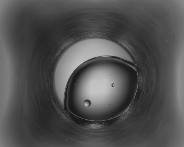 X0000085780158200703231253