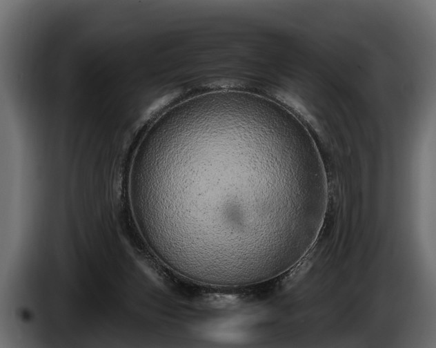 X0000085780159200703231253