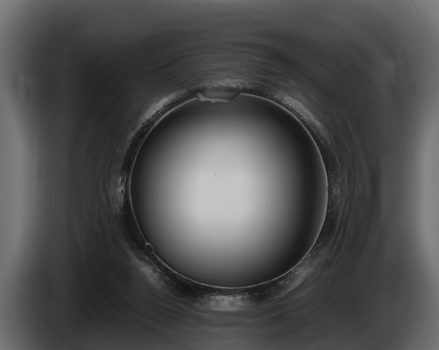 X0000085780160200703231253