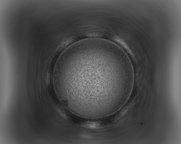 X0000085780161200703231253