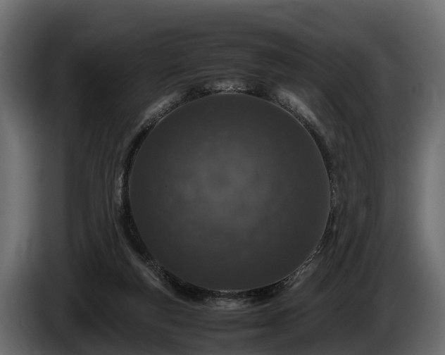 X0000085780163200703231253