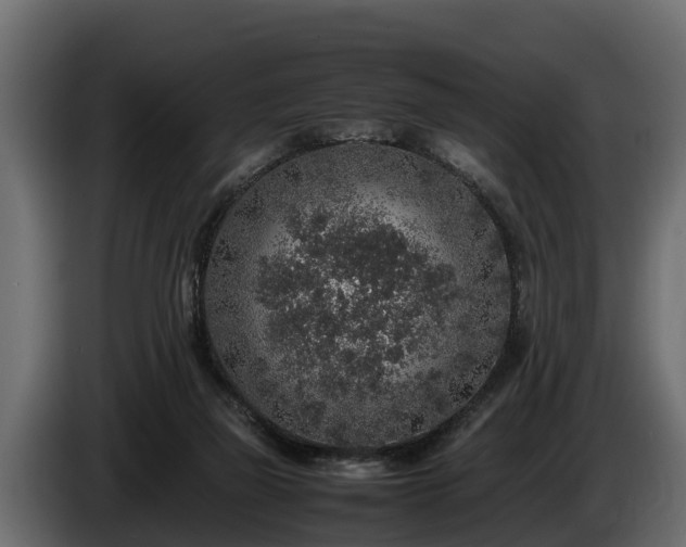 X0000085780165200703231253