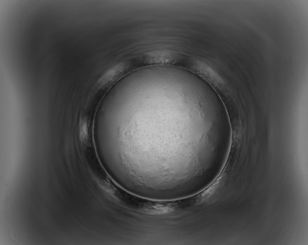 X0000085780166200703231254