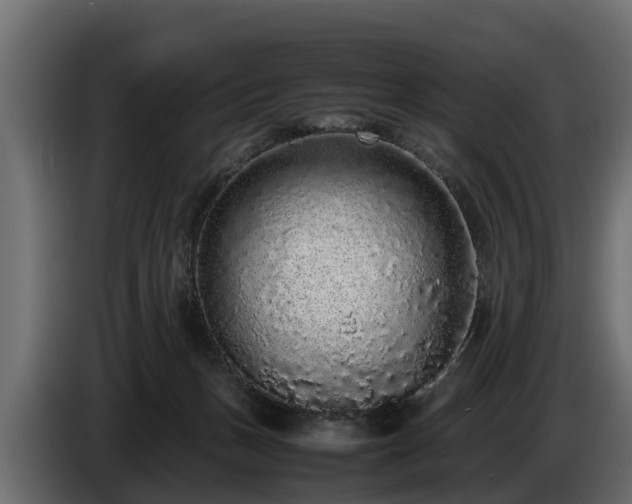 X0000085780175200703231254