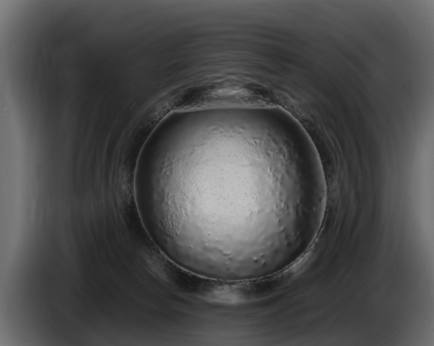 X0000085780178200703231254