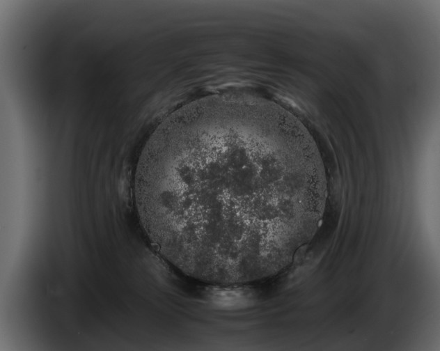 X0000085780181200703231254