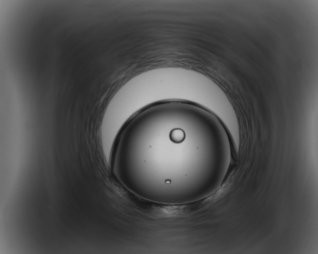 X0000085780184200703231254