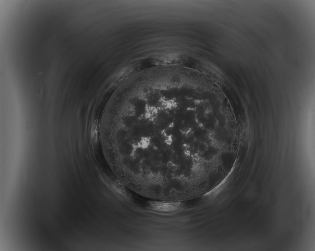 X0000085780191200703231254