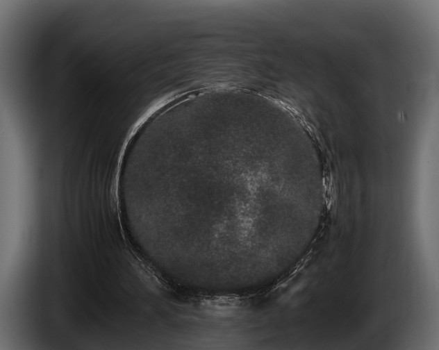 X0000085780196200703231253